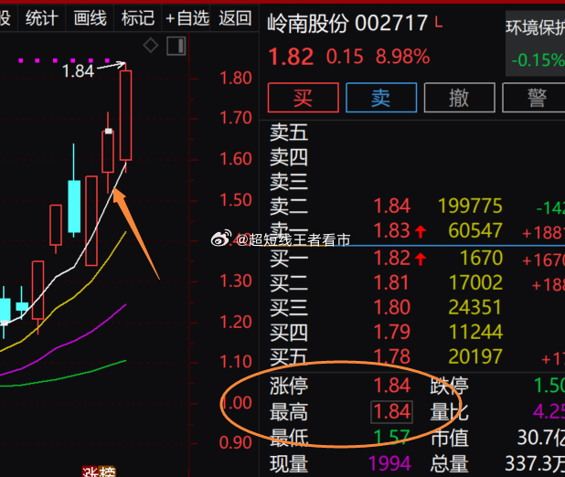 岭南股份股票行情全面解析与深度探讨